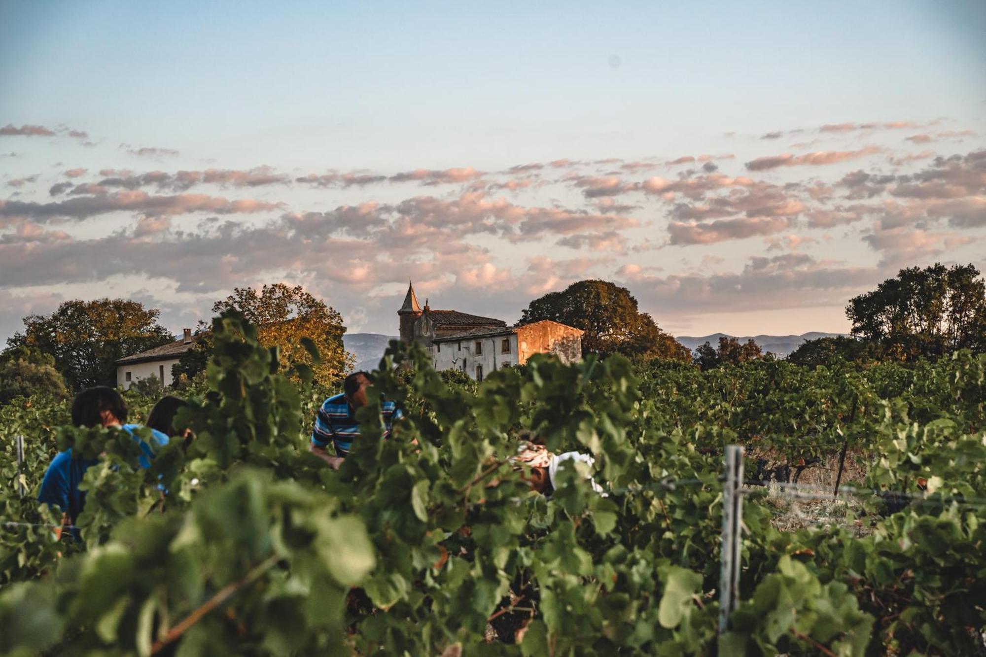 Domaine De Pelican Gignac  Buitenkant foto
