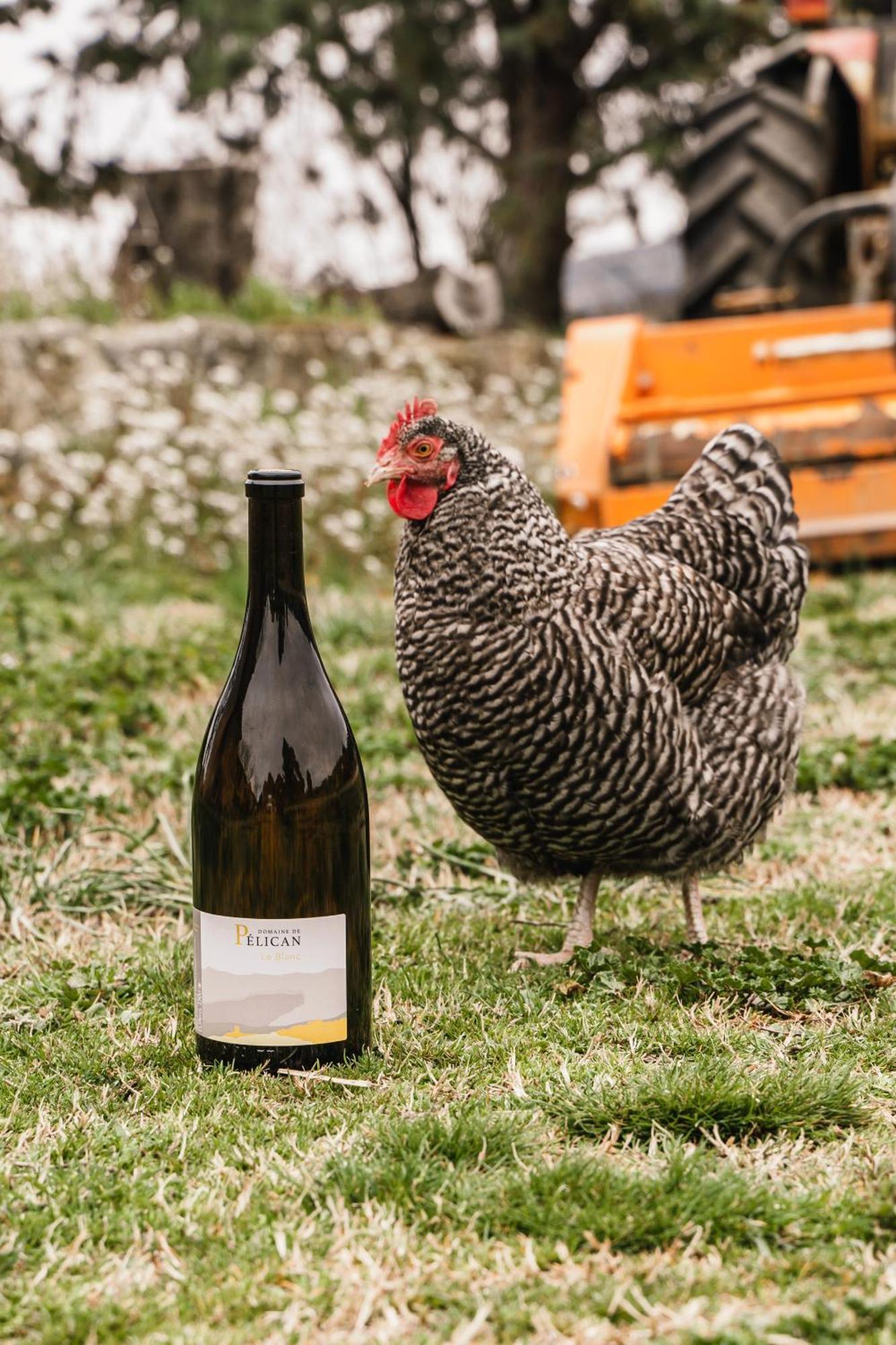 Domaine De Pelican Gignac  Buitenkant foto