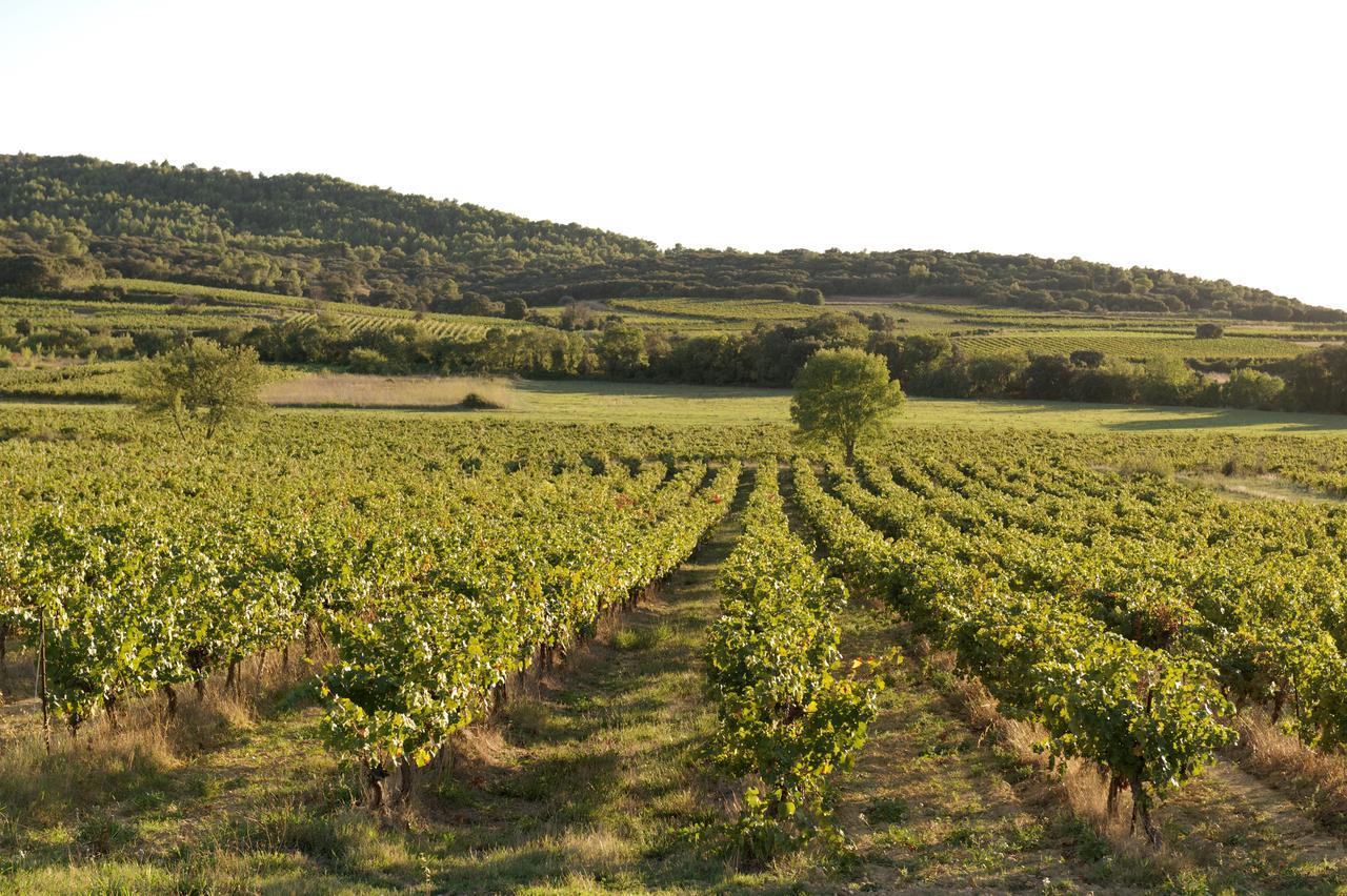 Domaine De Pelican Gignac  Buitenkant foto