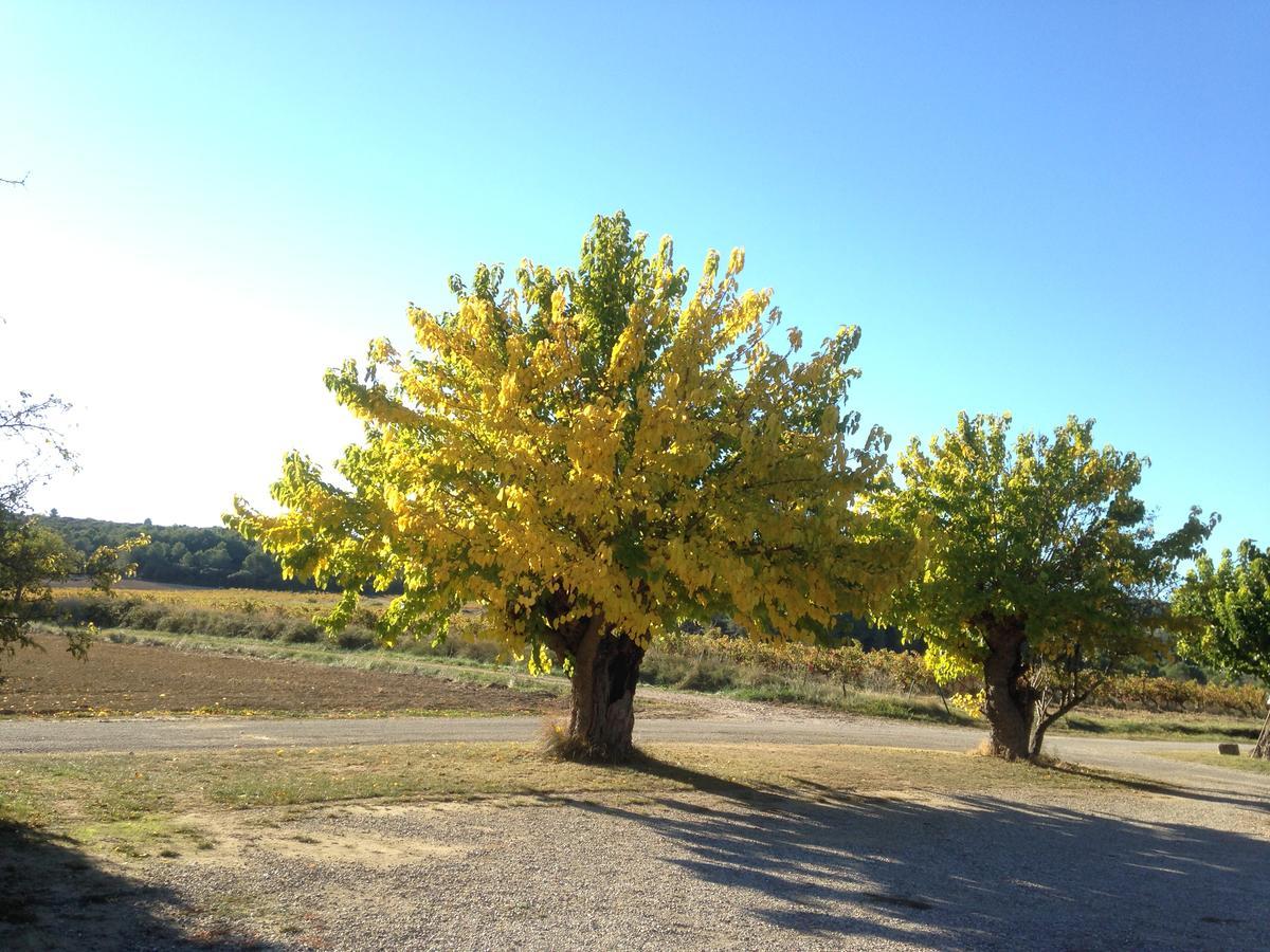 Domaine De Pelican Gignac  Buitenkant foto